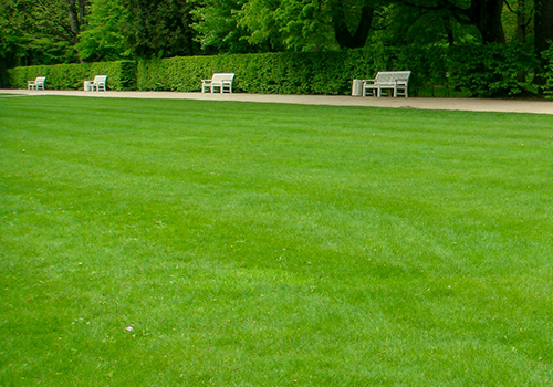 Garden Maintenance