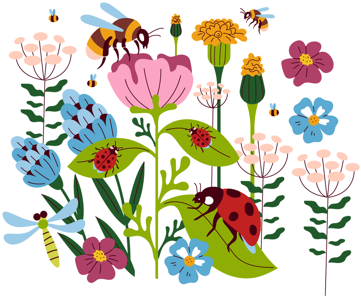 Gardening Services in Salford and Greater Manchester